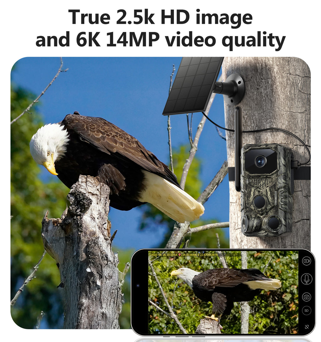 Trail Camera