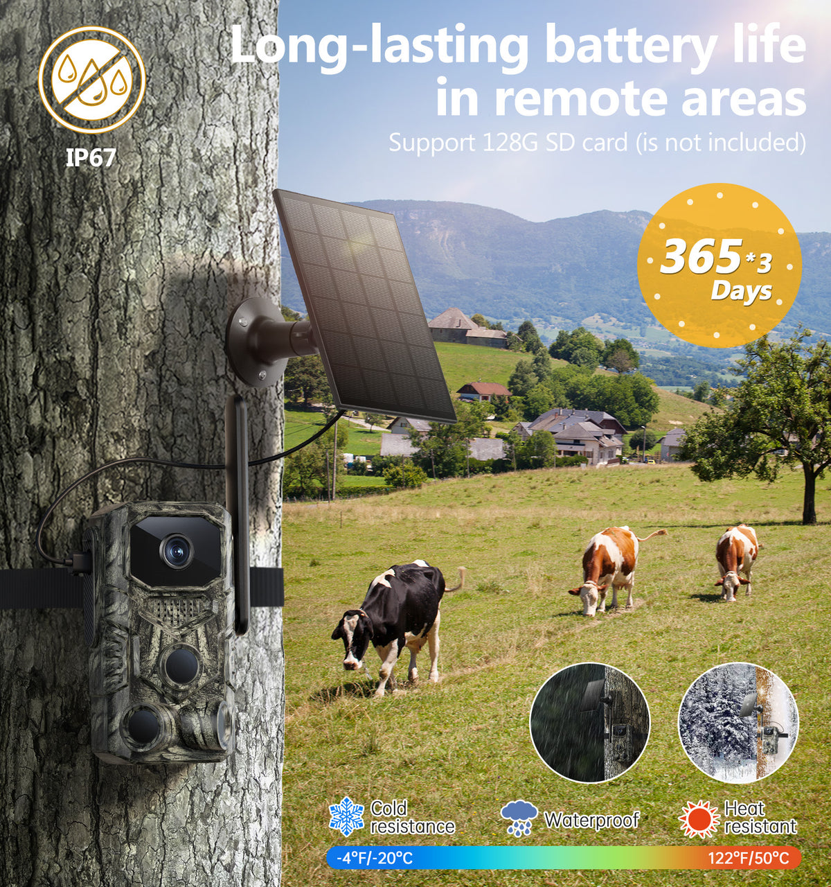 Trail Camera
